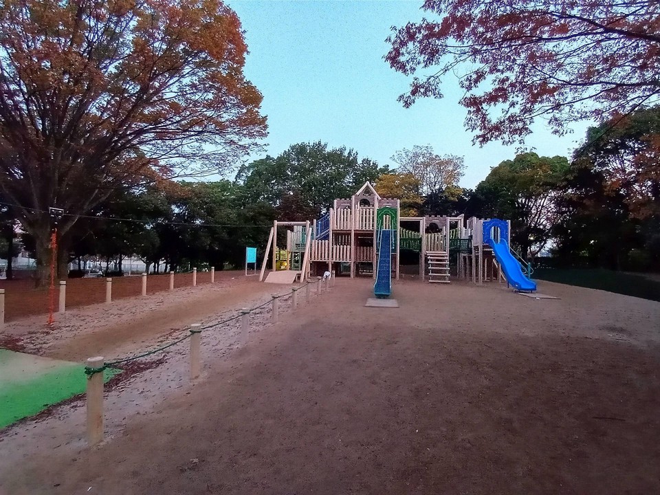 木製の遊具です。