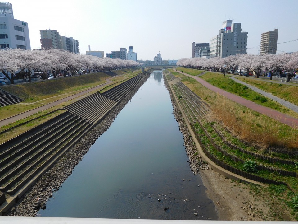 駅南大橋から見る桜川