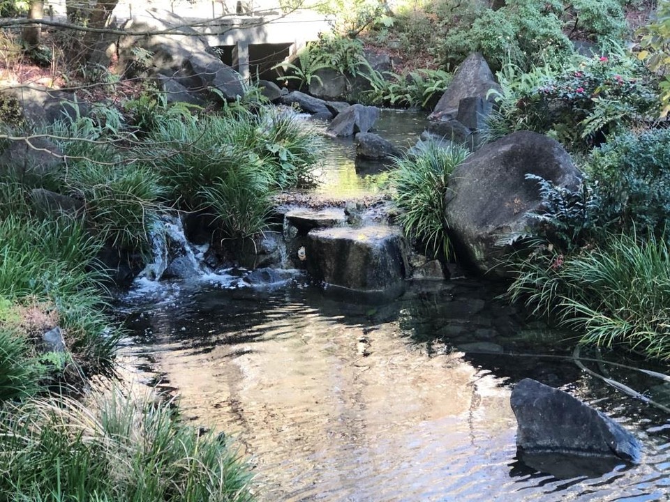 毛利庭園風景
