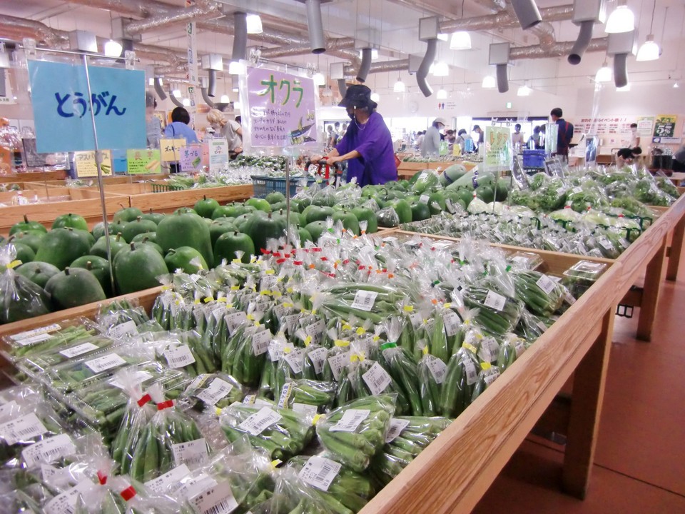 夏野菜のオクラもまだあります
