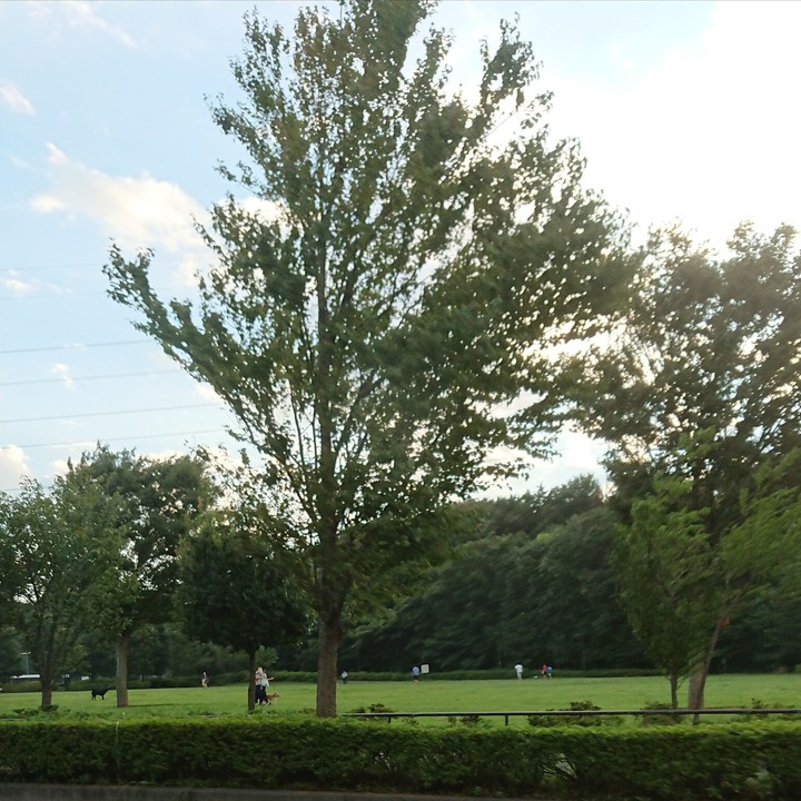 長津田 玄海田公園