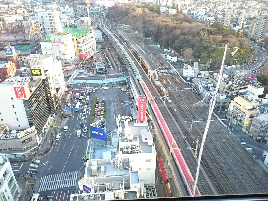 展望ロビーからの景色