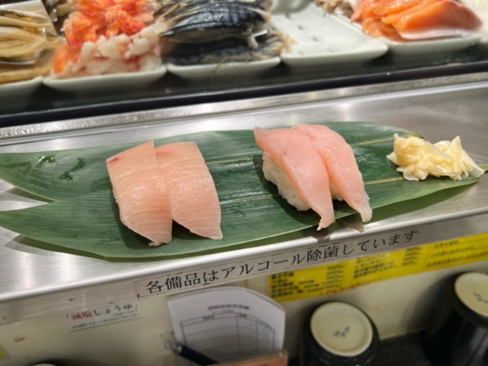 ビンチョウマグロとメカジキ
