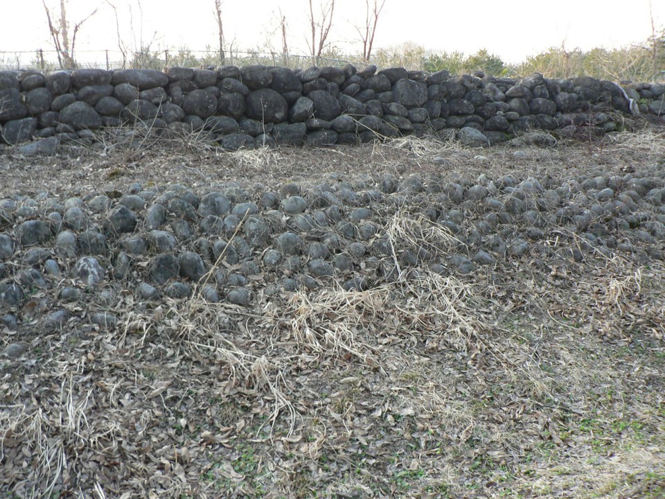 直江兼続が築いた「直江堤公園」の直江石堤