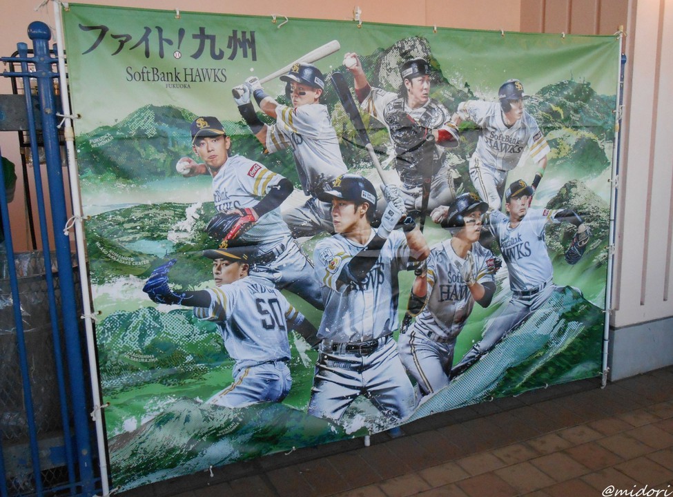 色合い中々良かった(●'&#982;`●)&#128149;