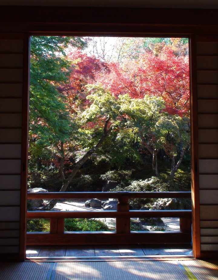 書院から見える額紅葉