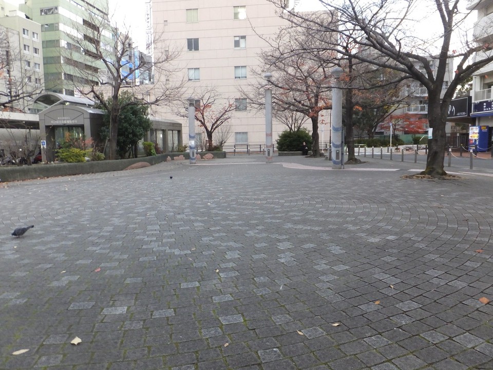 公園。桜のころはきれいでしょう。