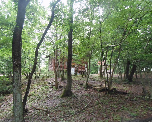 キャンプ場の風景