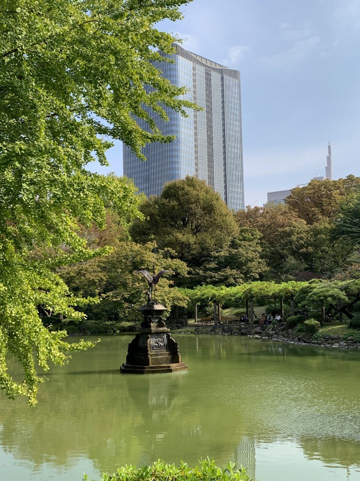 心字池も良いですけど、こちら雲形池も良いですね～