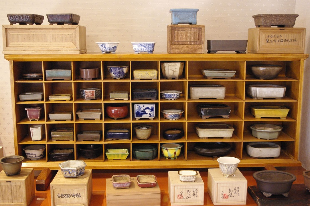 さまざまな作家の盆材鉢が並べられた商品棚