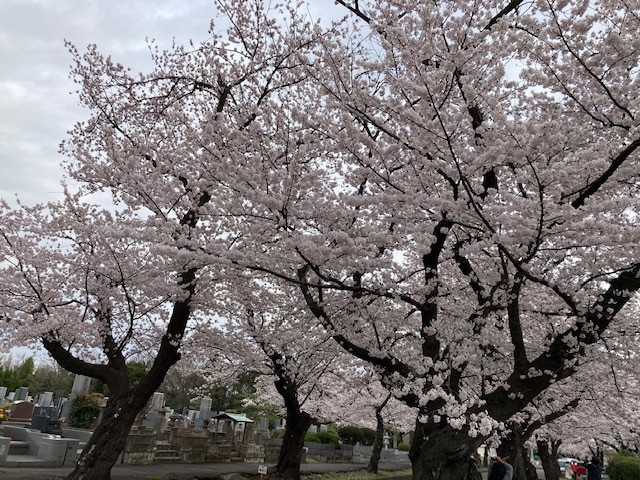 緑ヶ丘霊園 