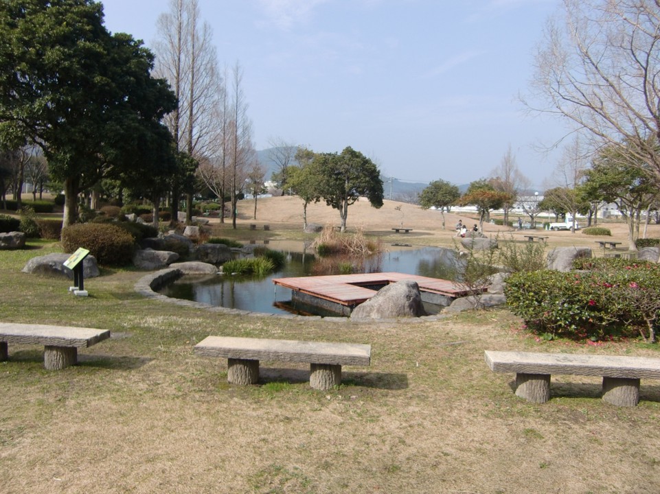 公園内の池