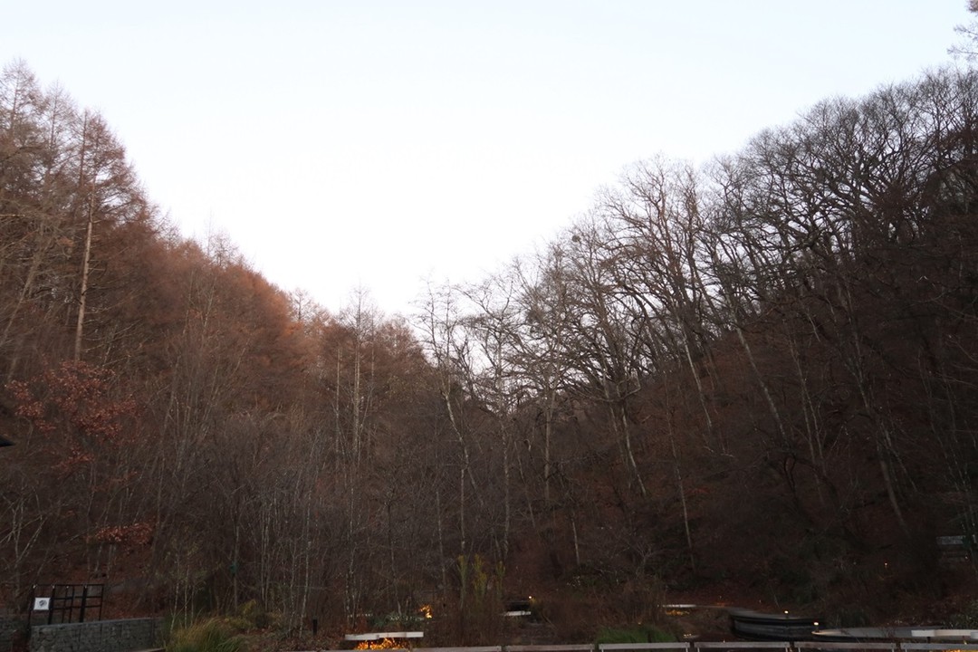 日没まで待ってから森へ移動