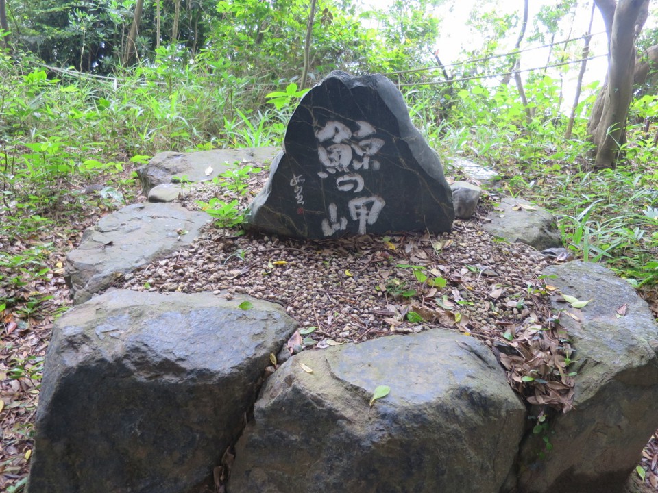 展望台