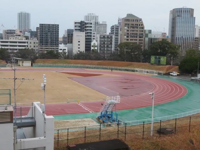 色とりどりのフィールドです