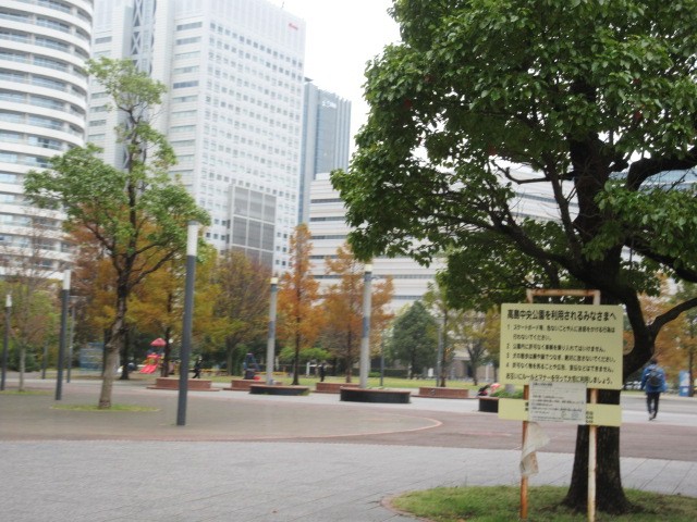 広い