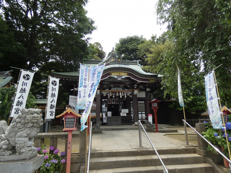 川越八幡宮拝殿
