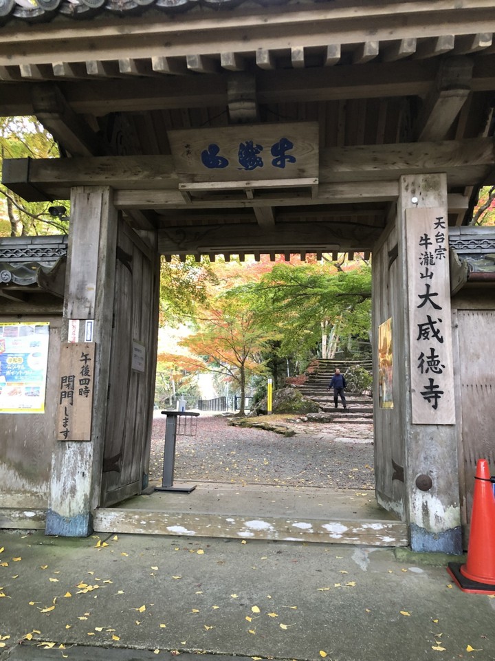 紅葉は最高