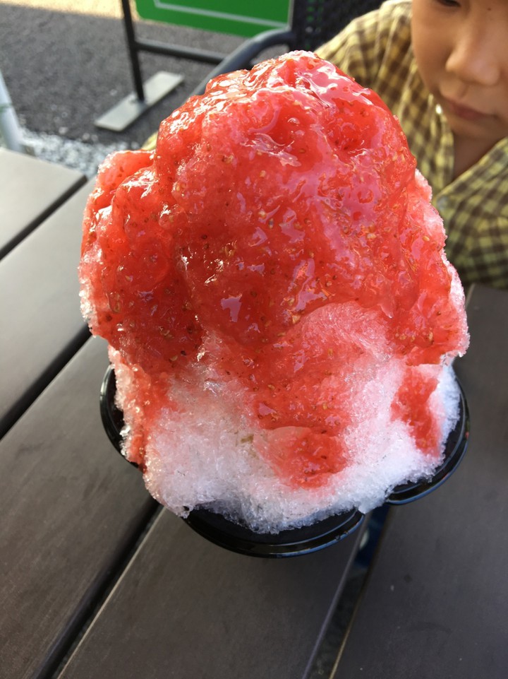 大きすぎて食べきれなかったカキ氷
