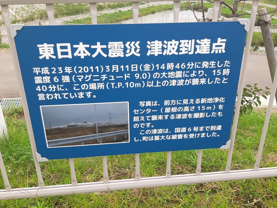 ≪想いの丘≫にあった津波到達点の説明板。