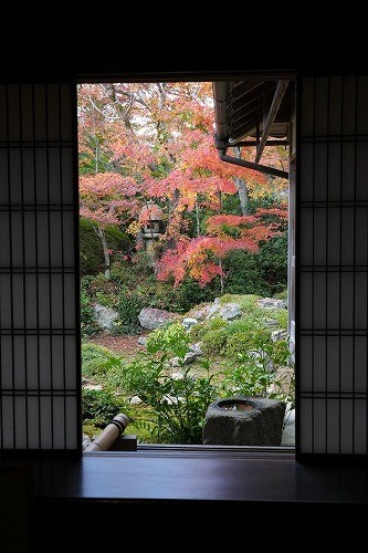 方丈の一角の景色