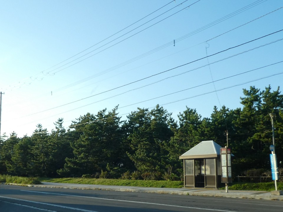 バス停の後。こんもりとした森。