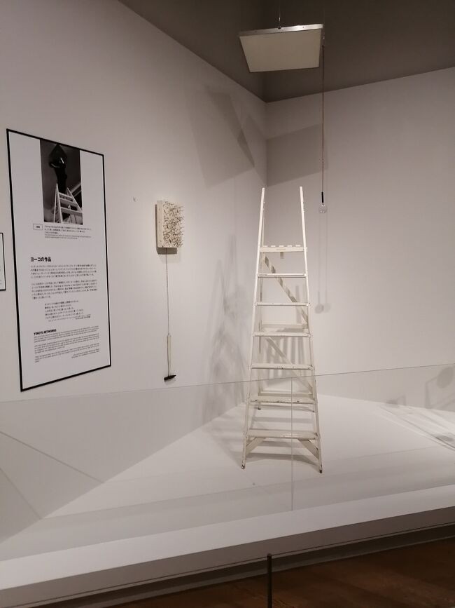 代表作　ＹＥＳの天井 梯子を登って虫眼鏡で天板を覗くとＹＥＳ