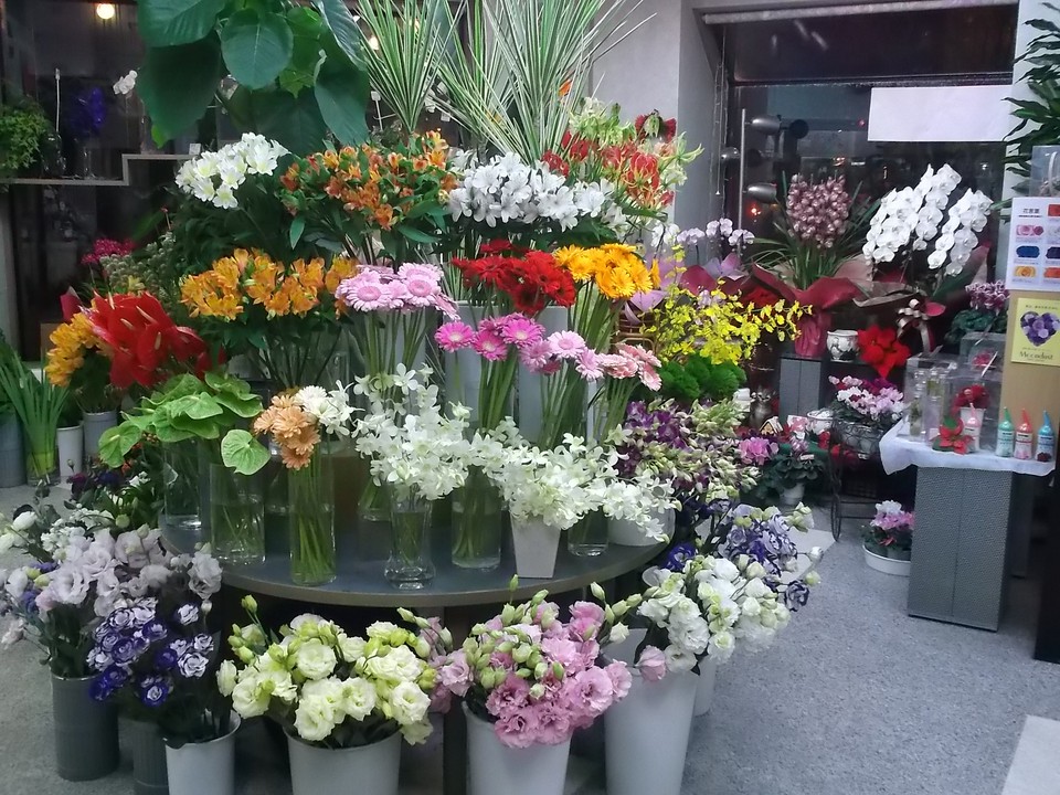 彩華 旭川 花 Pathee パシー