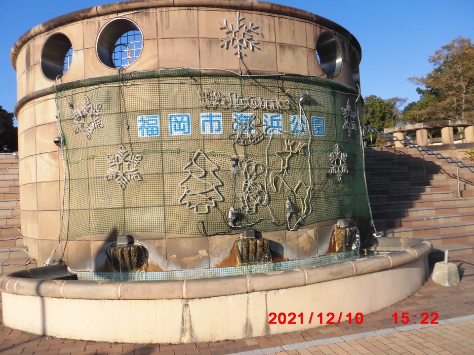 名称表示