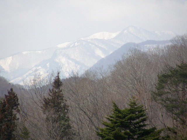 秋保森林スポーツ公園から見た山々