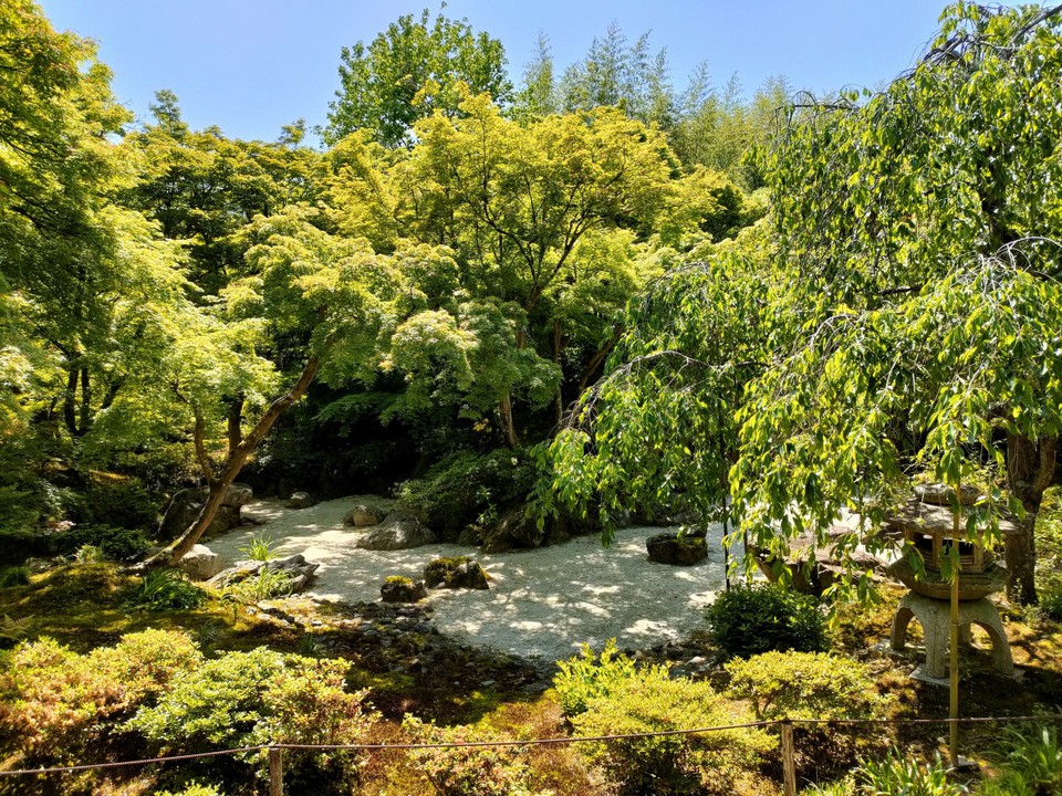 本堂から見た庭園