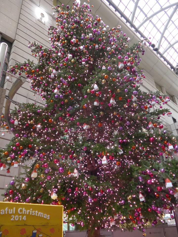 イベント広場のクリスマスツリー