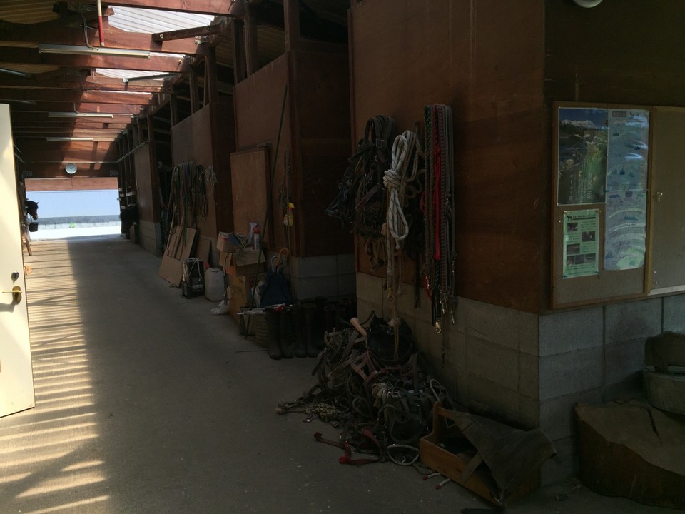 馬小屋