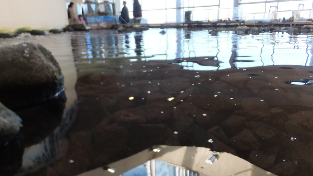 水槽もある
