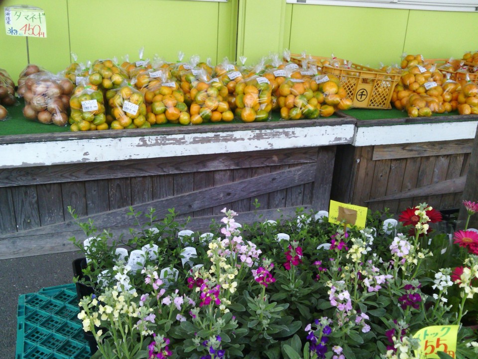 店頭には玉名近郊のいろんな土地のみかんがありました