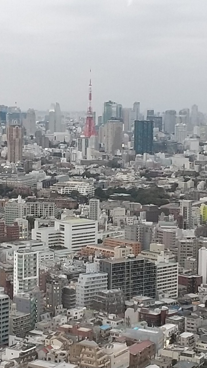 恵比寿ガーデンプレイスタワーからの眺め