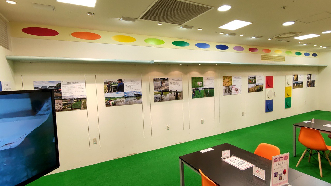 展示写真パネル