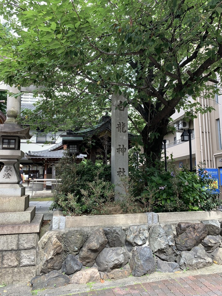 龍という文字に惹かれてしまう