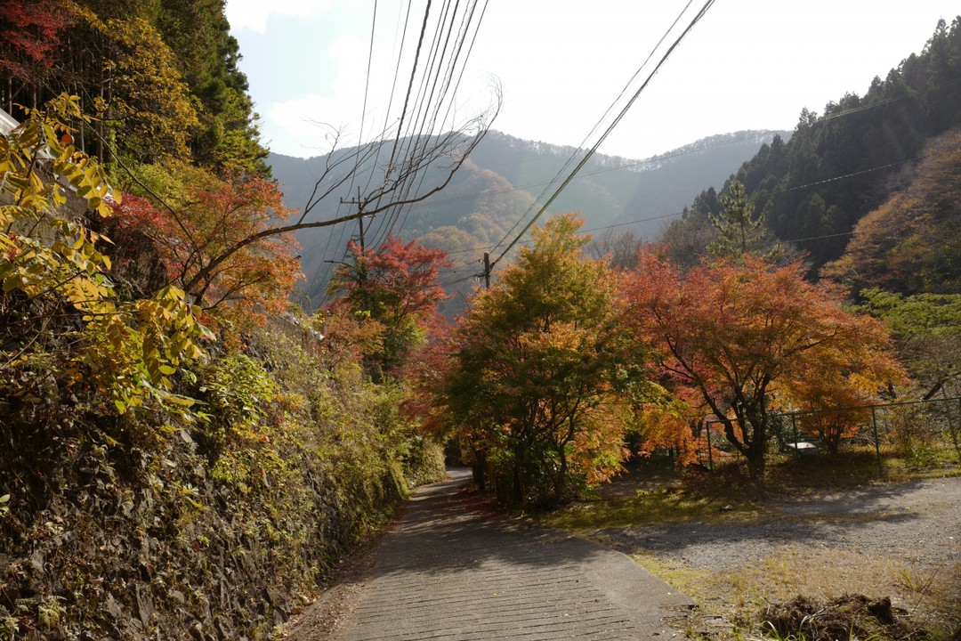 中山トンネル前にあるバス停「中山」から下ると、楽に歩けます。