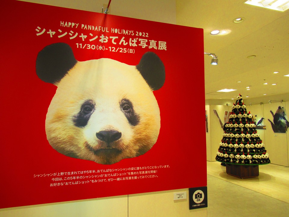 シャンシャンおてんば写真展