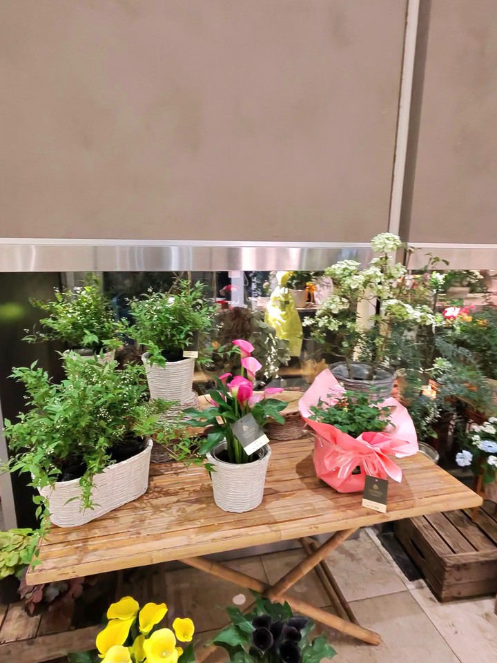 木のテーブルに並ぶ植物と、ピンクの包みでラッピングされたギフトの花