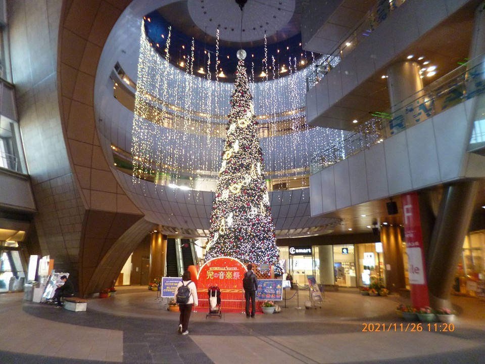 とても豪華なクリスマスツリーです。