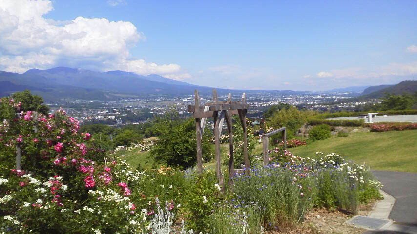 バラ園と浅間山
