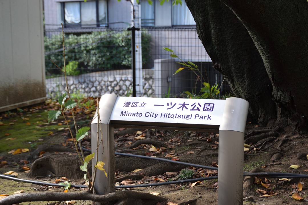 一ツ木公園