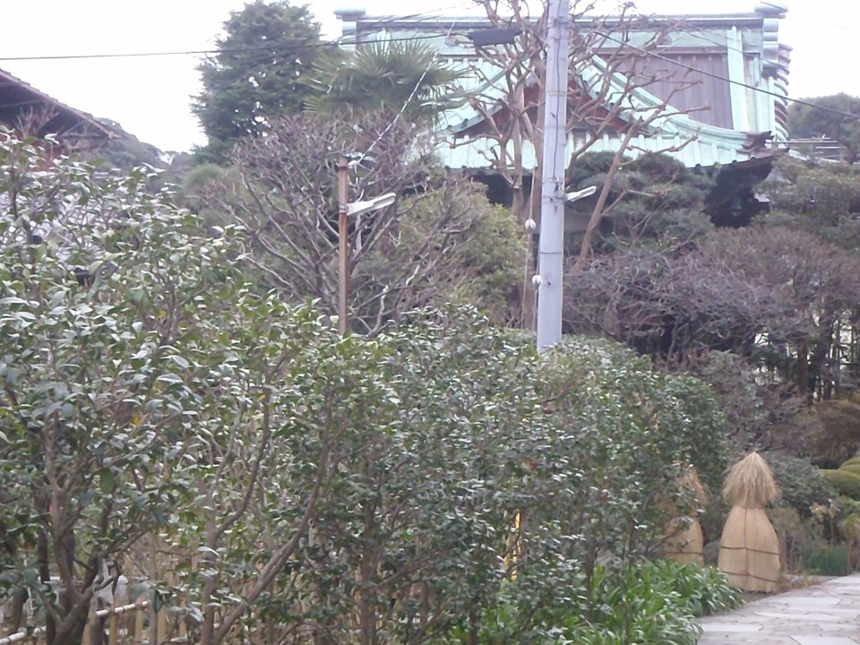 庭の奥に本堂