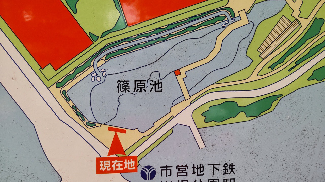 篠原池の周りを散策し