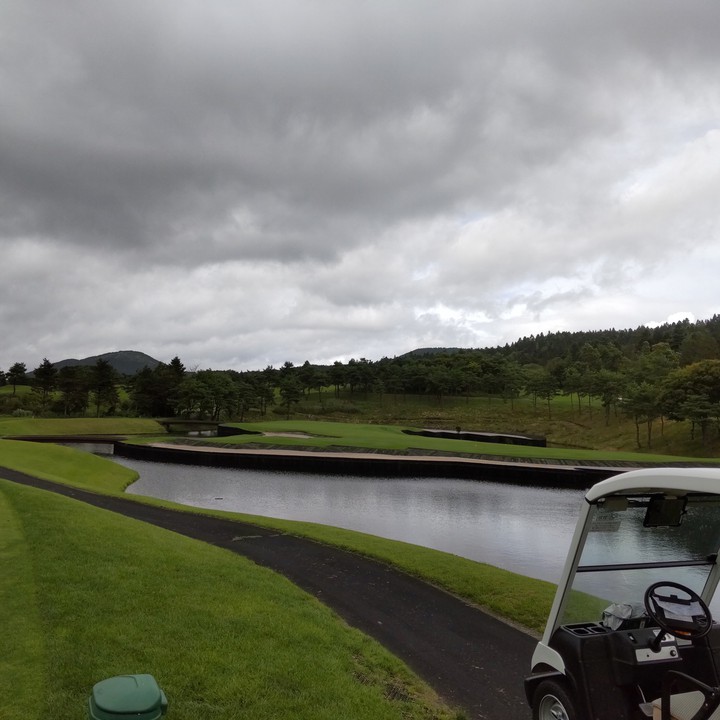 神奈川沖浪裏 モチーフ  わかりますか？