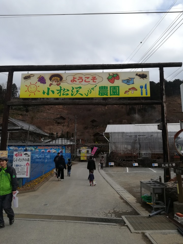 電車で行かれます