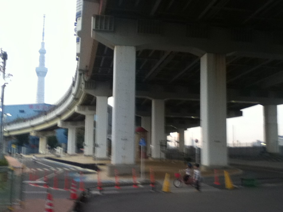 公園内の様子