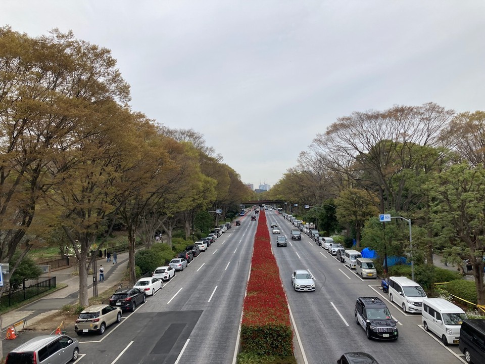 代々木公園の通りです。